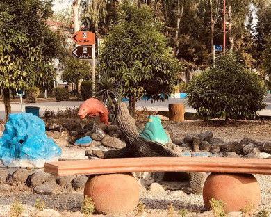 Sari-Parmis-15.jpg