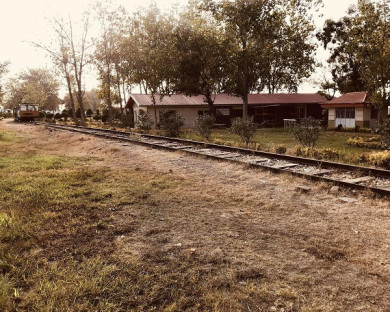Sari-Parmis-24.jpg
