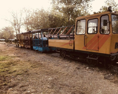 Sari-Parmis-47.jpg