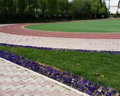 هتل آکادمی ملی المپیک تهران 7