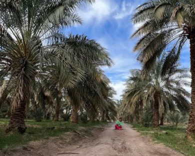 اقامتگاه بومگردی سمیر آمیز بم