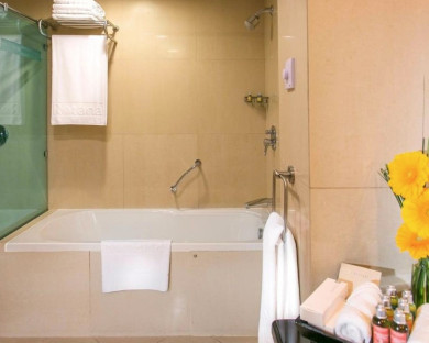 هتل سوئیس اوتل المروج (Swissôtel Al Murooj Dubai) دبی 11