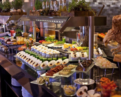 هتل دیوان اربیل 26