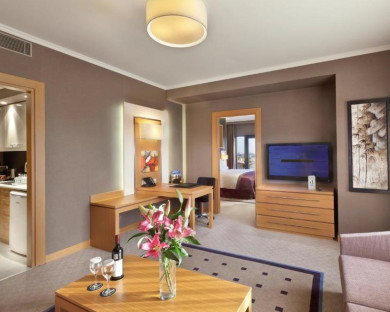 هتل دیوان اربیل 6