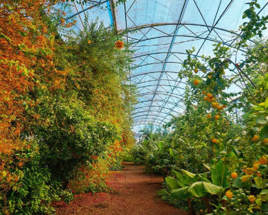 مجتمع اقامتی کاریزان مبارکه 4