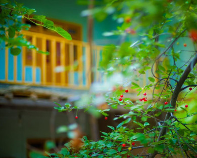 اقامتگاه بومگردی چشمه سبز گلمکان 7
