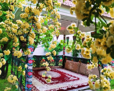مجتمع گردشگری رشیدی ( بهار ) ایلام 2