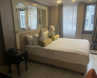 هتل مرکور بومونتی (Mercure Bomonti) استانبول 6