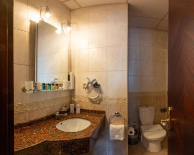 هتل پرا رز (Pera Rose) استانبول 15