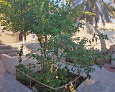 jazirehhormoz-denj-32.jpg