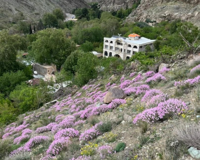 karaj-kandelus-9.jpg