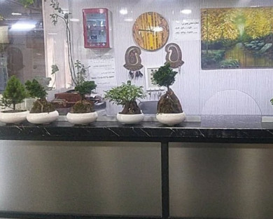 هتل آپارتمان آبان کرمان 1