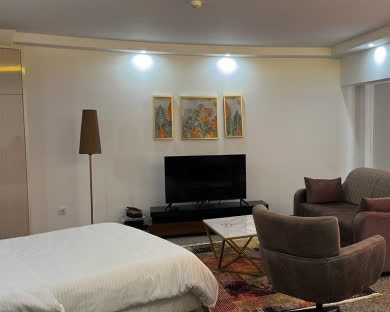 هتل آپارتمان اسپینل محمودآباد 8