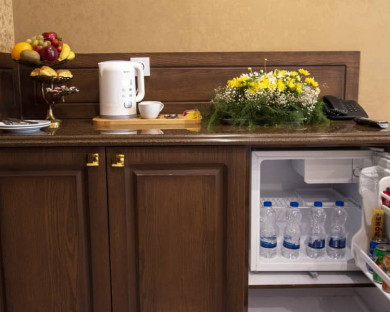 هتل مونا مشهد 9