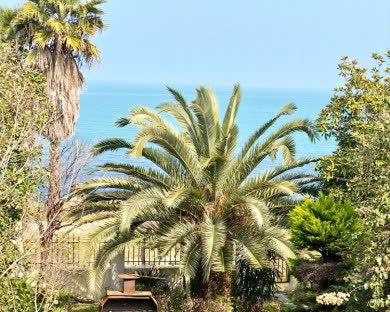 هتل آپارتمان سینا نوشهر 3