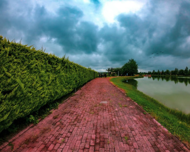 nour-dashtenour-6.jpg
