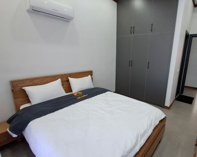 مجتمع گردشگری دشت نور 46