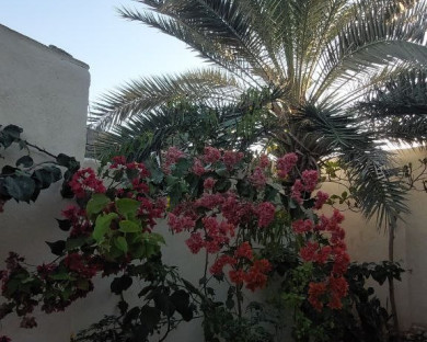 qeshm-captainhome-16.jpg