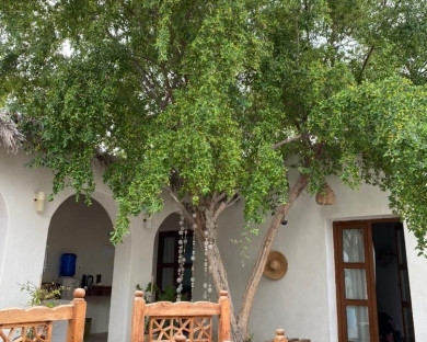 qeshm-captainhome-24.jpg