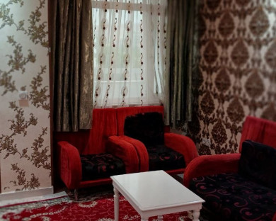sarein-shams-15.jpg