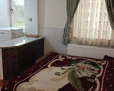 sarein-shams-16.jpg