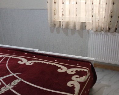 sarein-shams-19.jpg