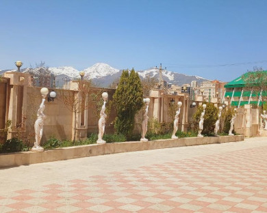sarein-shams-9.jpg