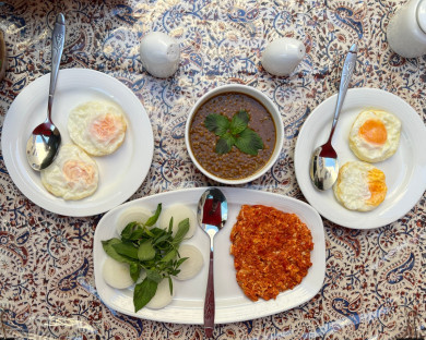 اقامتگاه سنتی سیمرغ شیراز 16