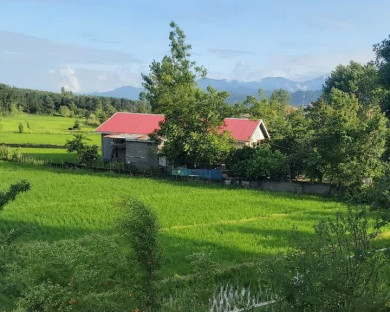 خانه مسافر صفری تالش 7