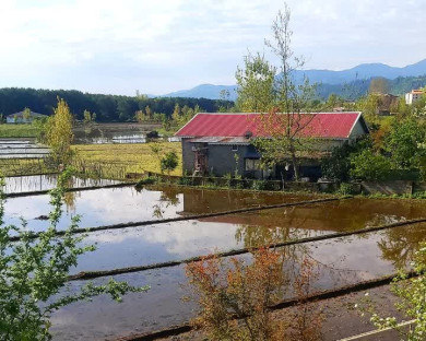 خانه مسافر صفری تالش 6