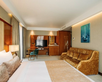 هتل مرجان پلازا تفلیس 5