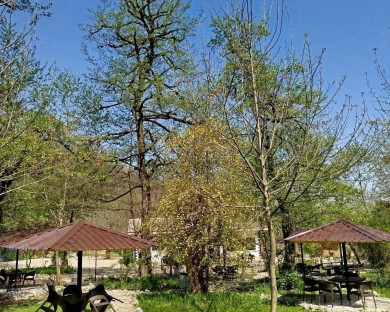 tonekabon-ecocamp3000-2.jpg
