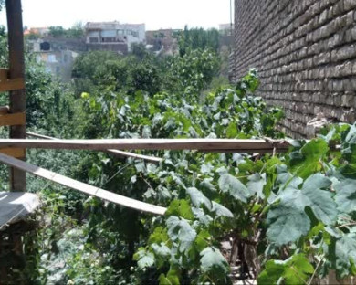 اقامتگاه سنتی عقیق طرقبه 11
