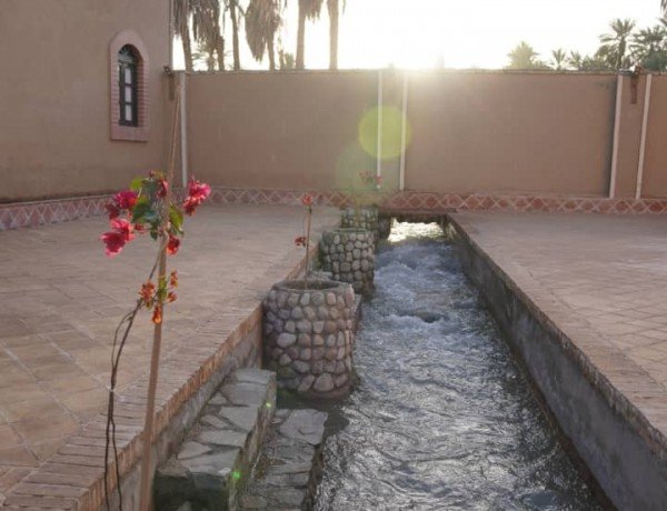Shahdad-Payab-7