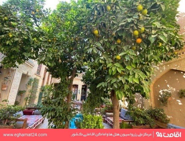 Shiraz-Mahmonir-11