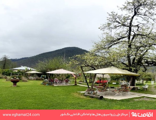 masal-ratines-55