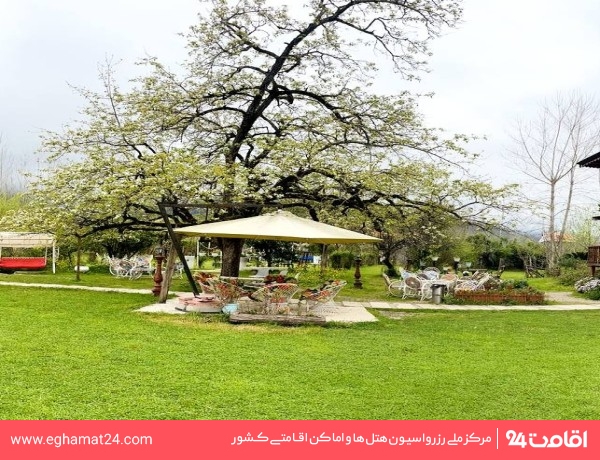 masal-ratines-57