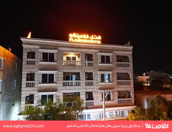qeshm-falamingo-18