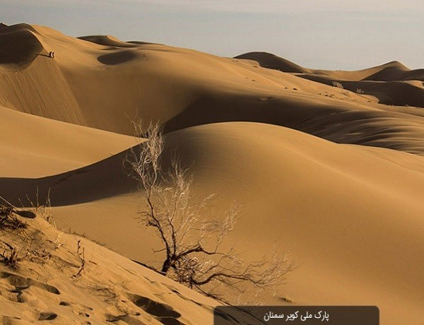 پارک ملی کویر