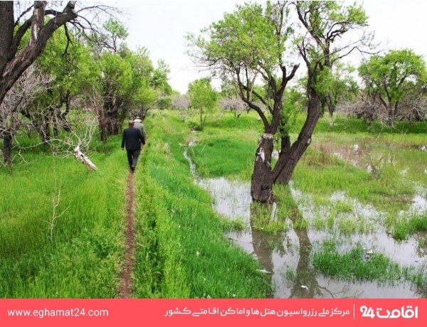 باغستان سنتی 