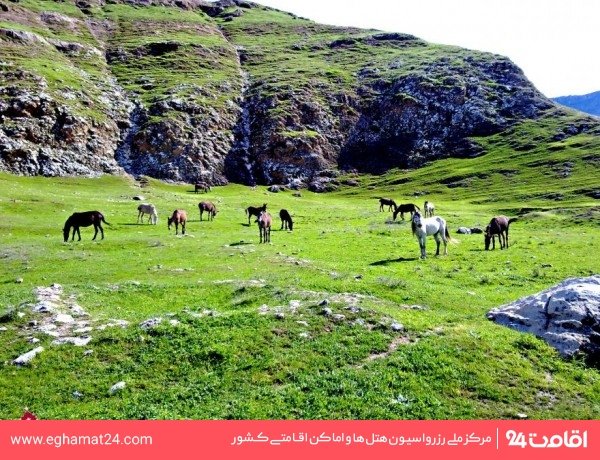 سینمای دره شهر ایلام :: هتل های نزدیک سینمای دره شهر ایلام :: اقامت24