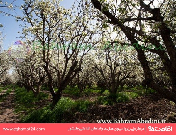 باغ سیب مهرشهر