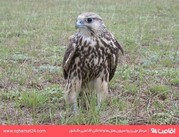 منطقه حفاظت شده مراکان