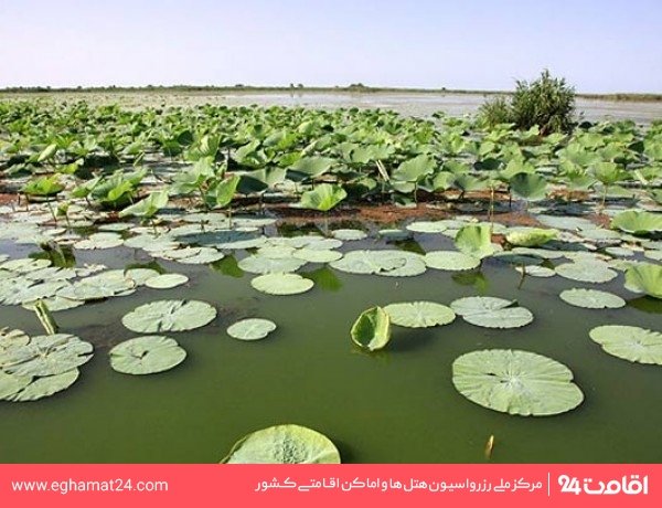 تالاب بین المللی امیر کلایه