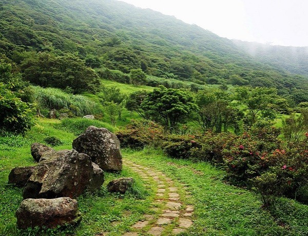 پارک جنگلي سياه کوه