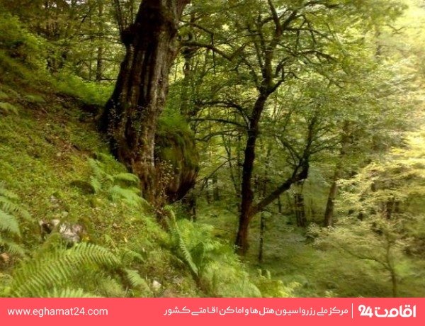 آبگرم فلکده