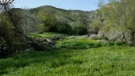 روستای دهبکری