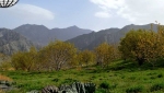 روستای دهبکری