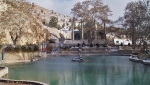 بش قارداش