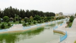 بش قارداش